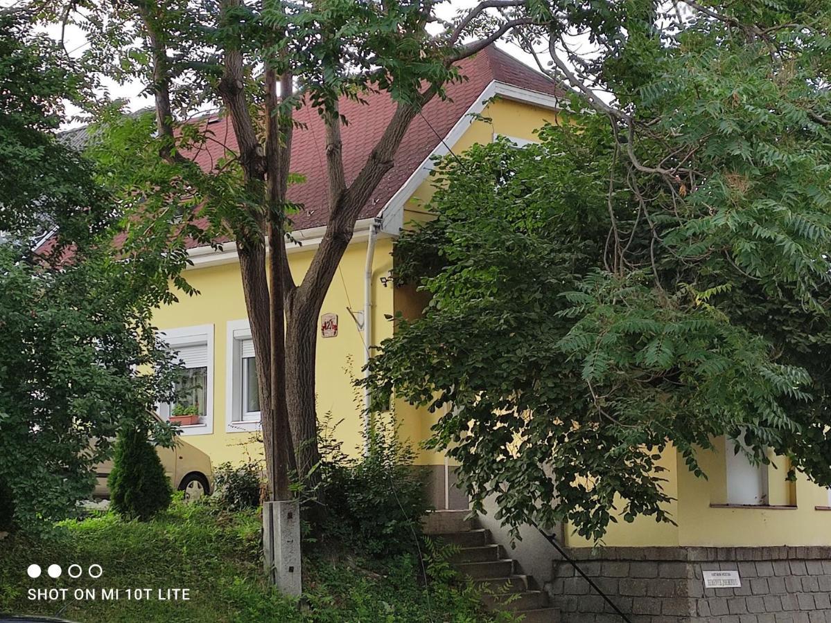 Szitakoeto Apartman 埃格尔 外观 照片